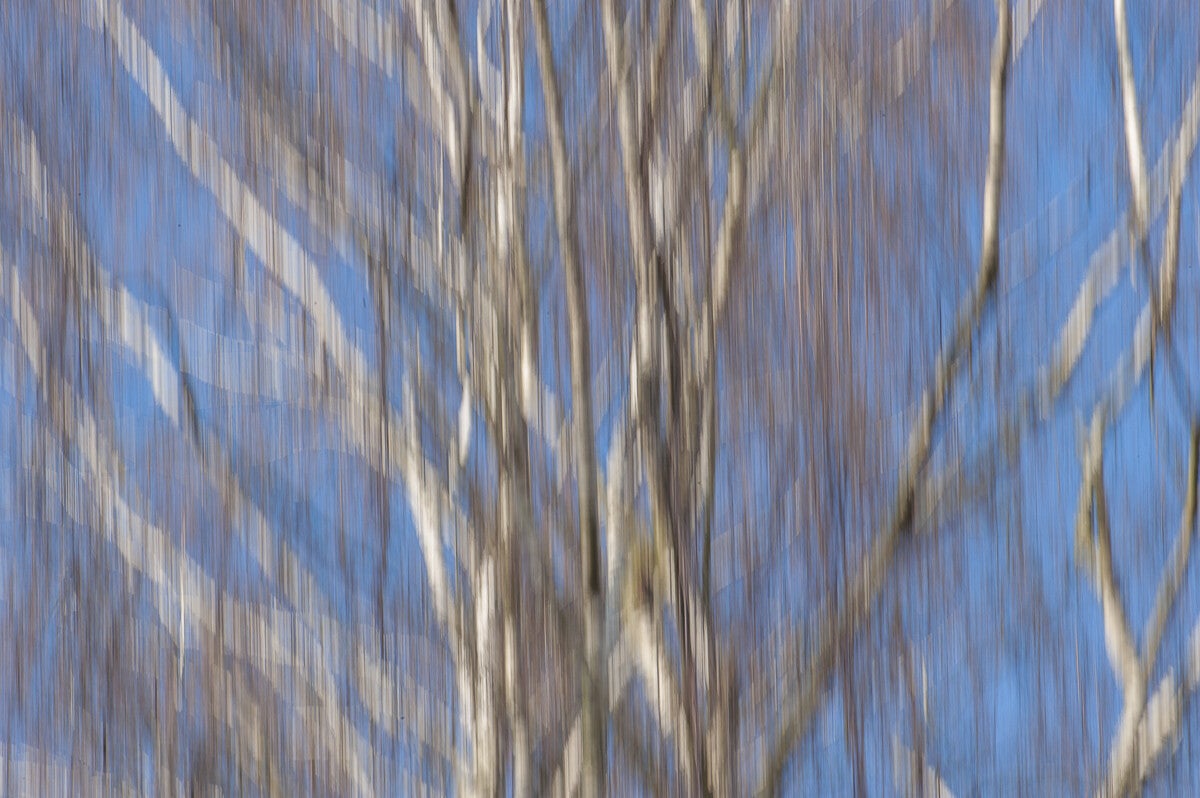 ICM_008.jpg