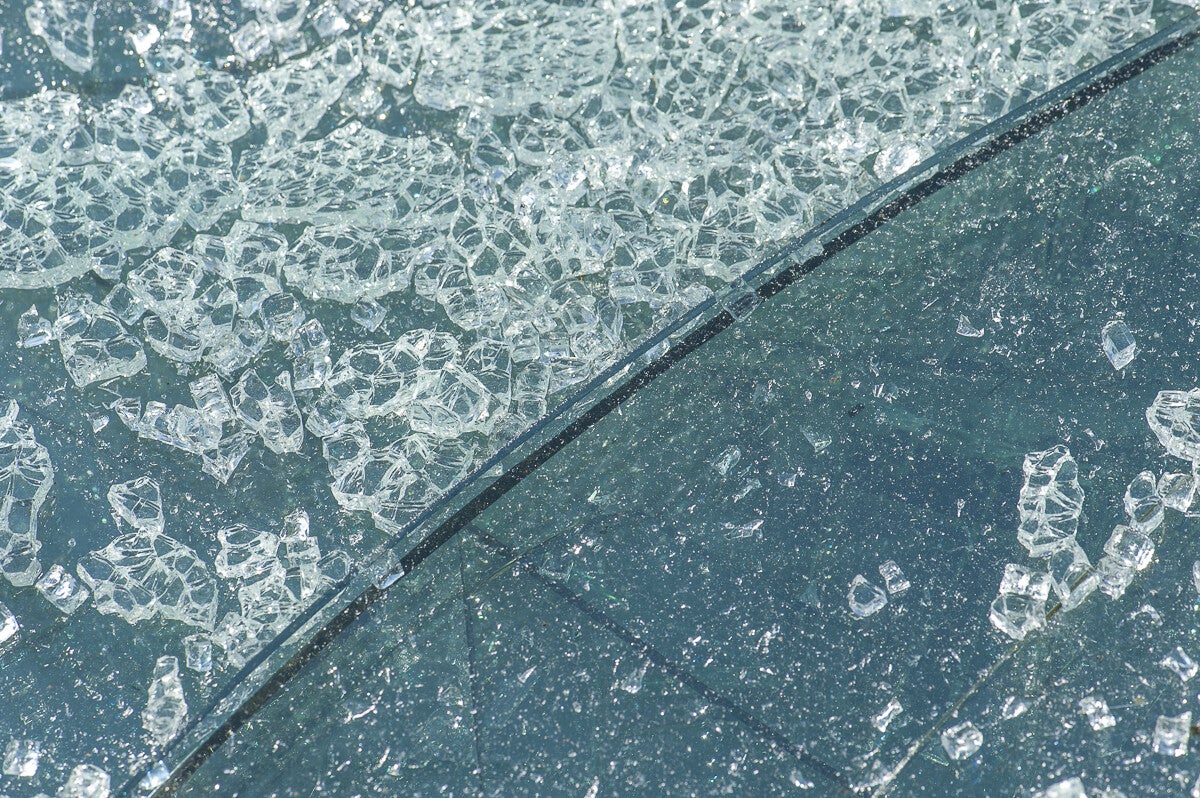 ICM_010.jpg