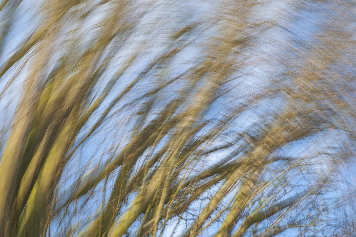 ICM_016.jpg
