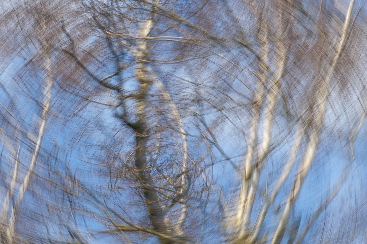 ICM_020.jpg