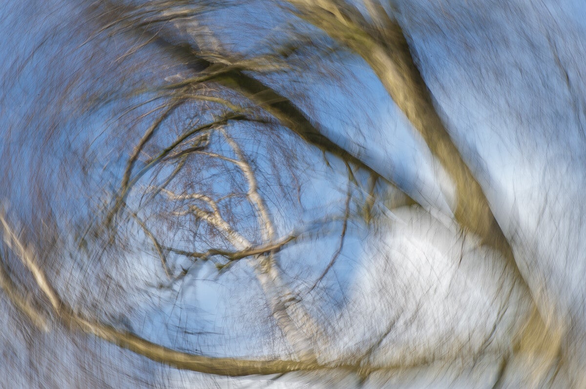 ICM_021.jpg