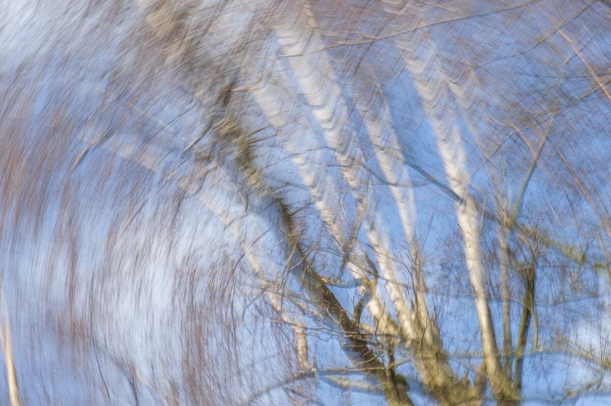 ICM_022.jpg