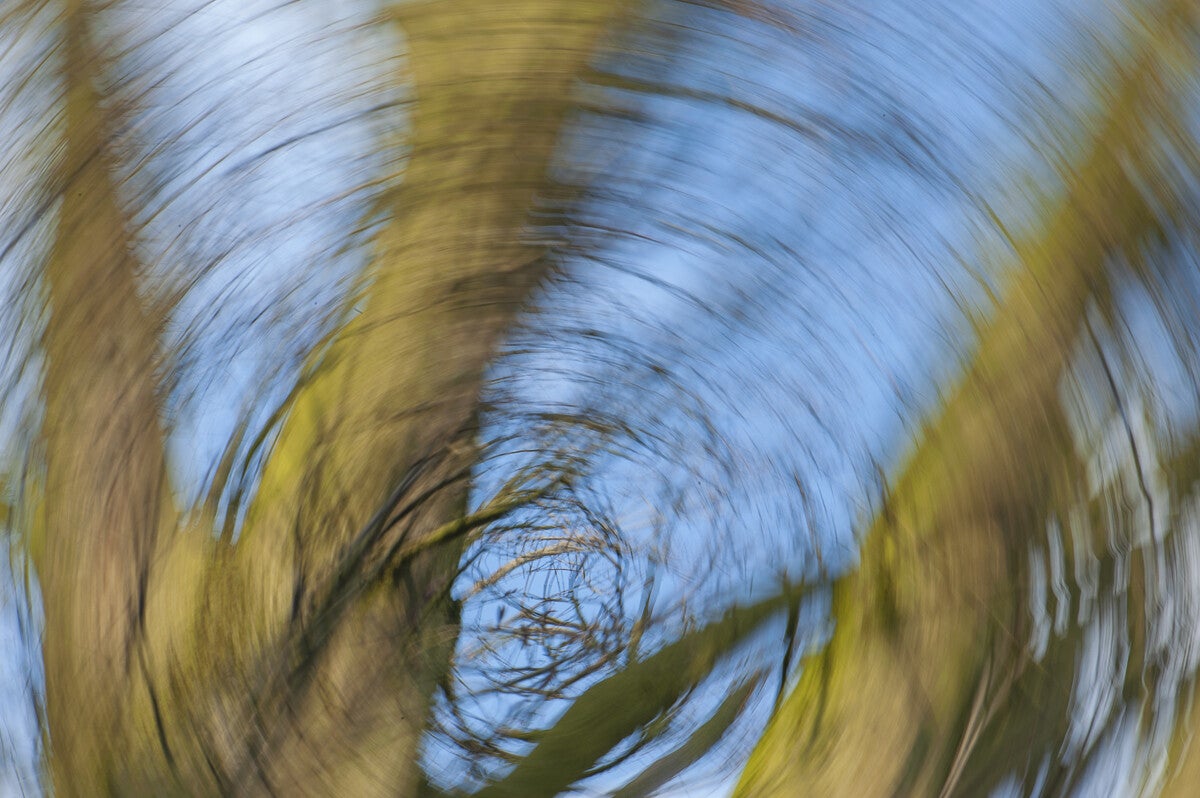 ICM_024.jpg