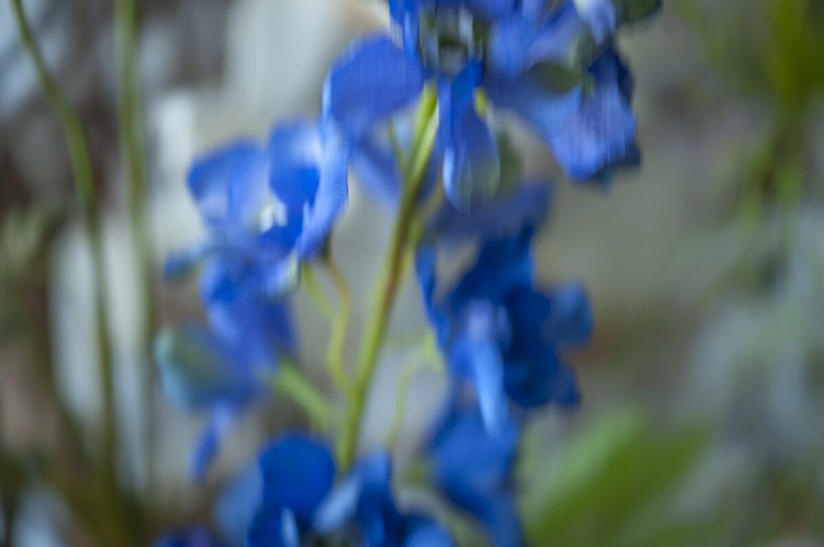 ICM_034.jpg