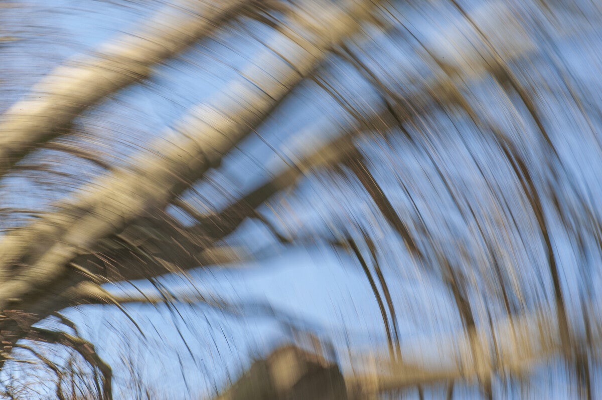 ICM_039.jpg