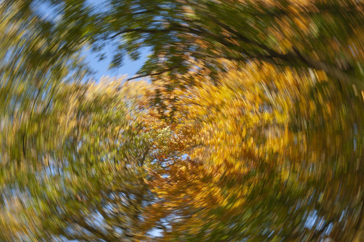 ICM_044.jpg