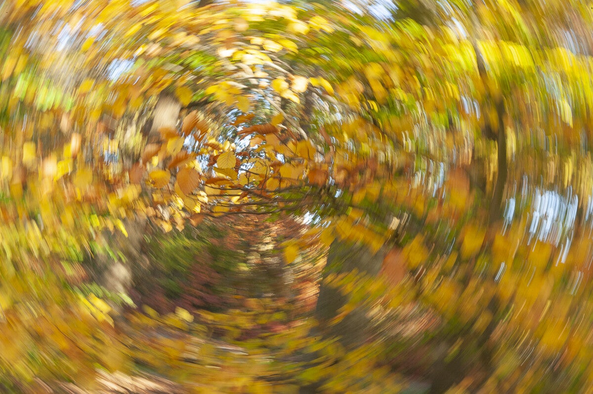 ICM_045.jpg