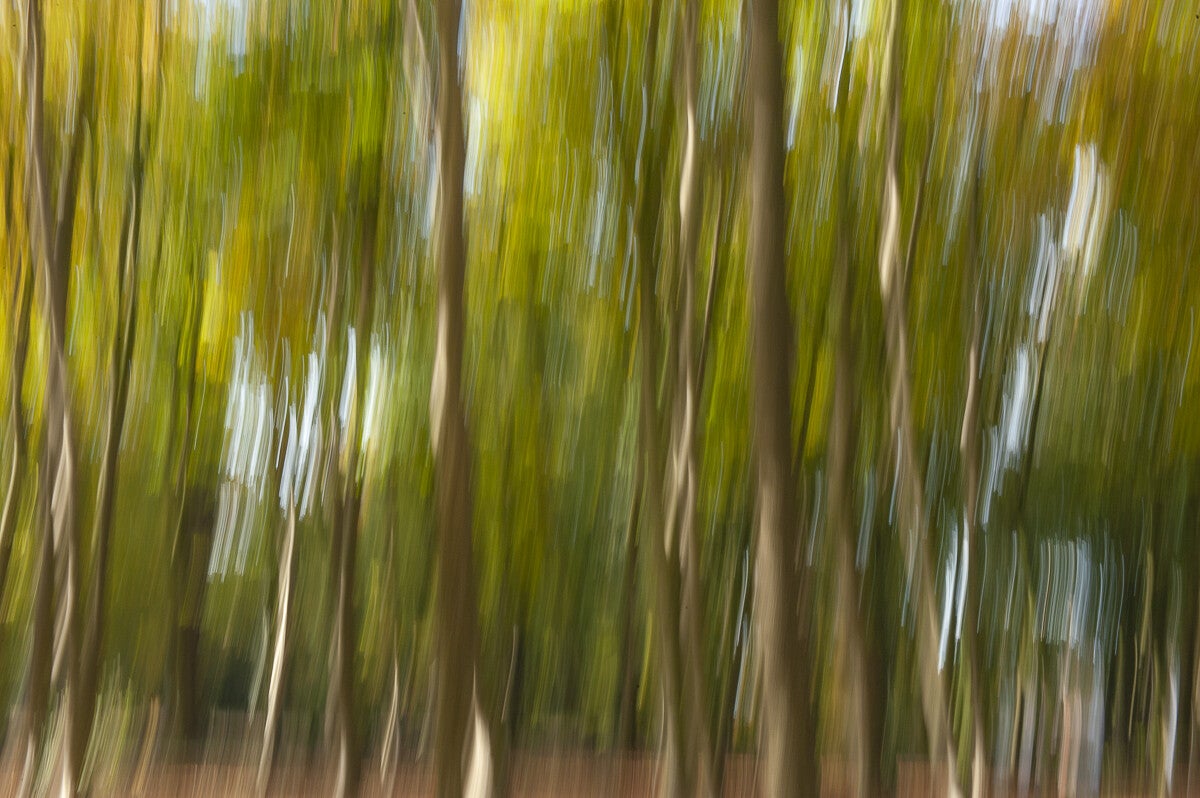 ICM_047.jpg