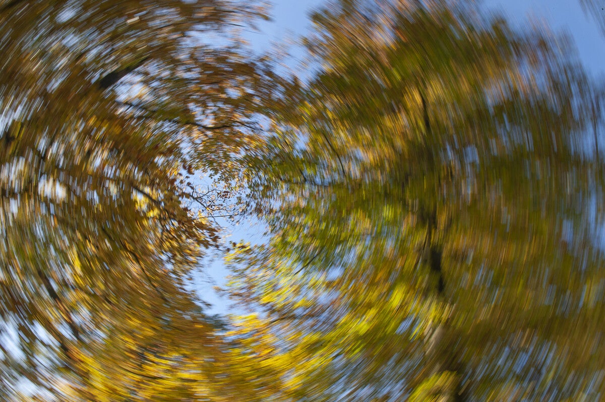 ICM_049.jpg