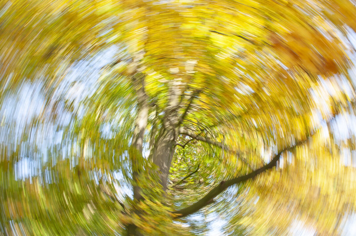 ICM_051.jpg