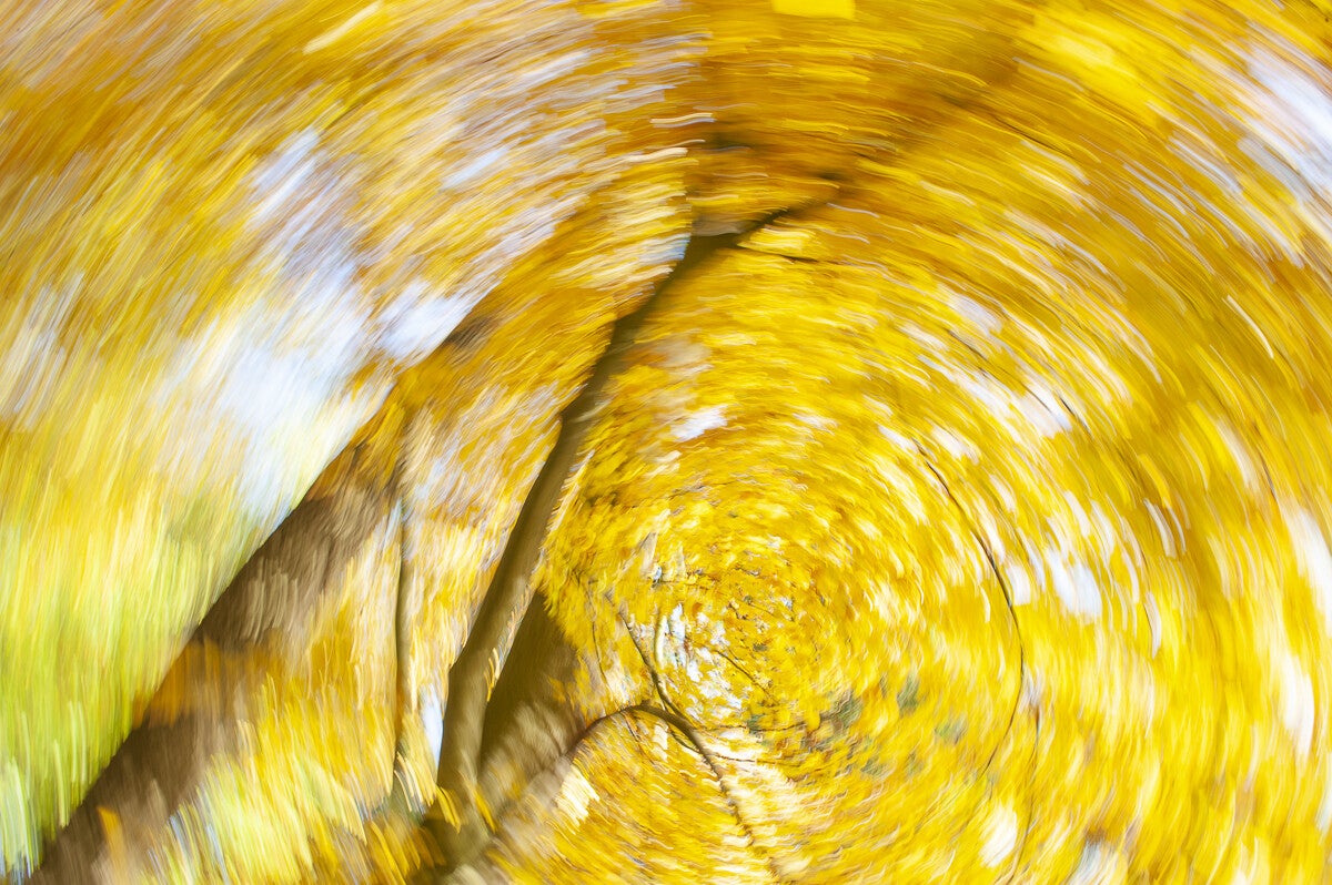 ICM_053.jpg