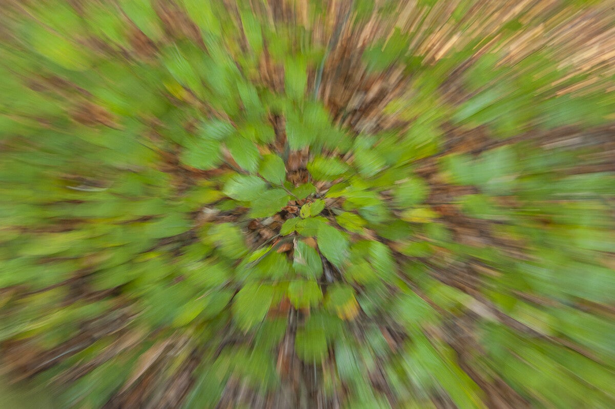 ICM_061.jpg