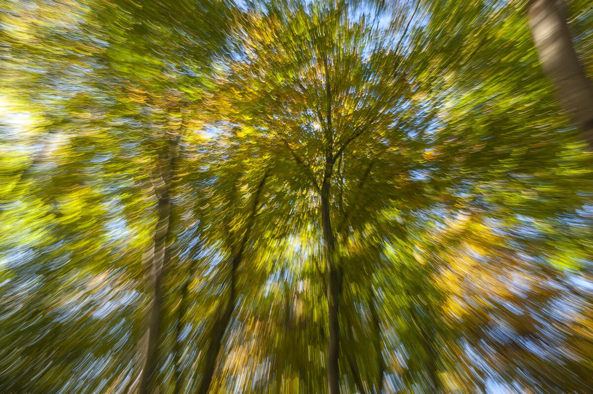 ICM_063.jpg