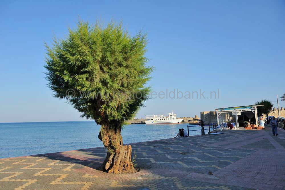 Ierapetra_055.jpg
