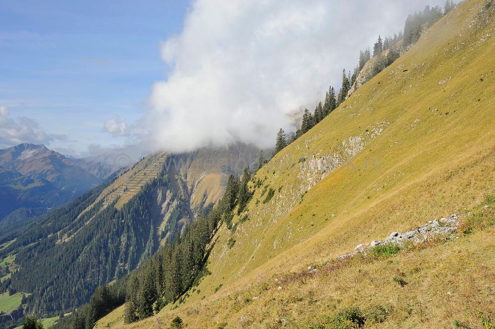 Jochelspitzbahn_225.jpg