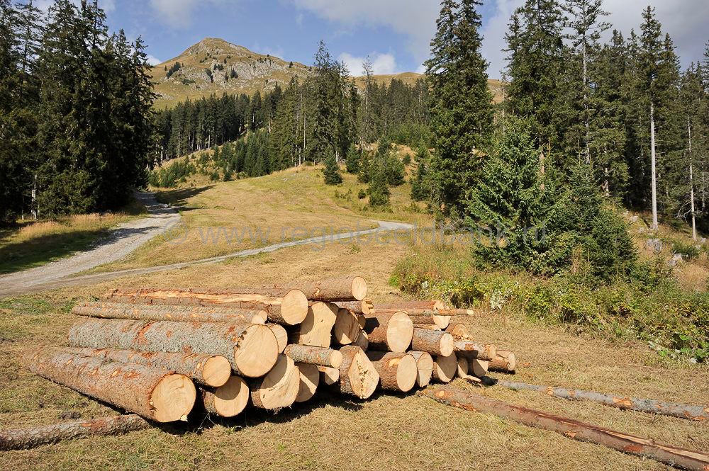Jochelspitzbahn_242.jpg