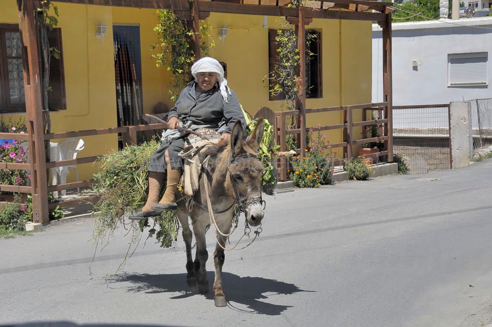 Kalamafka-Kissos_kreta_0552.jpg