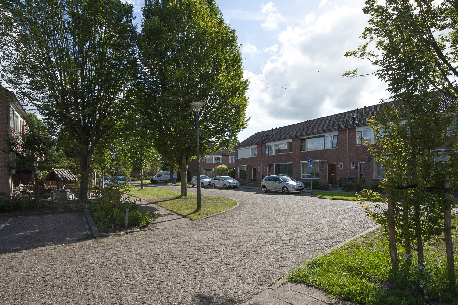 Kamillelaan_0157.jpg