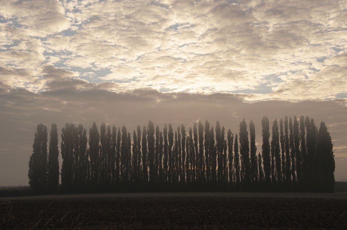 Kandiapad Groessen 01 07 2016