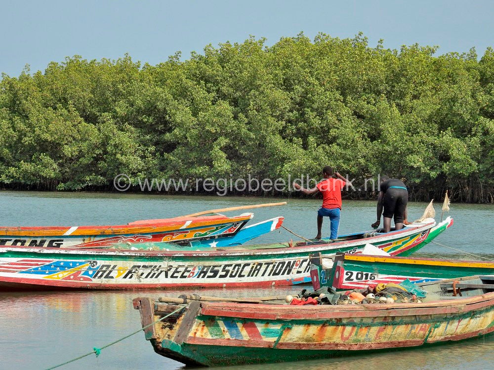 Kartong_0539.jpg