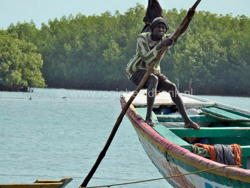 Kartong_0543.jpg