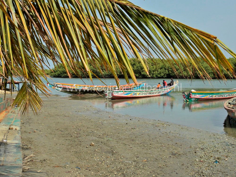 Kartong_0551.jpg