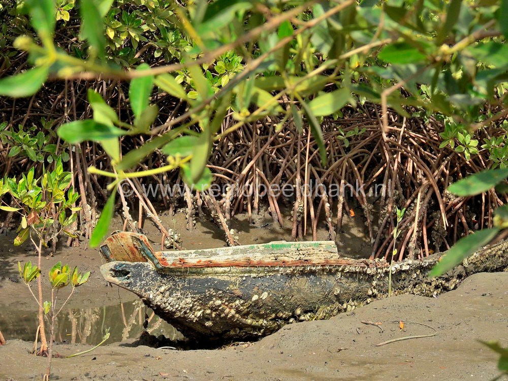 Kartong_0553.jpg