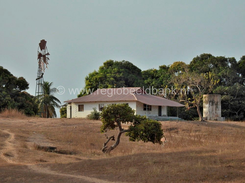 Kartong_0565.jpg