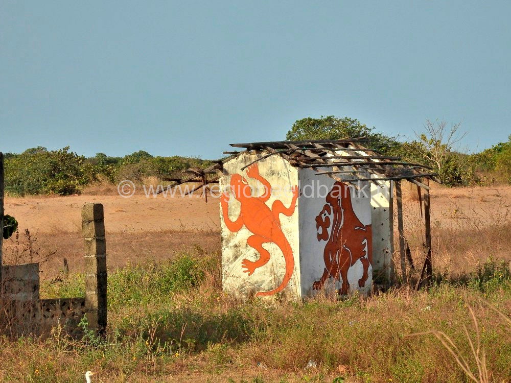 Kartong_0567.jpg