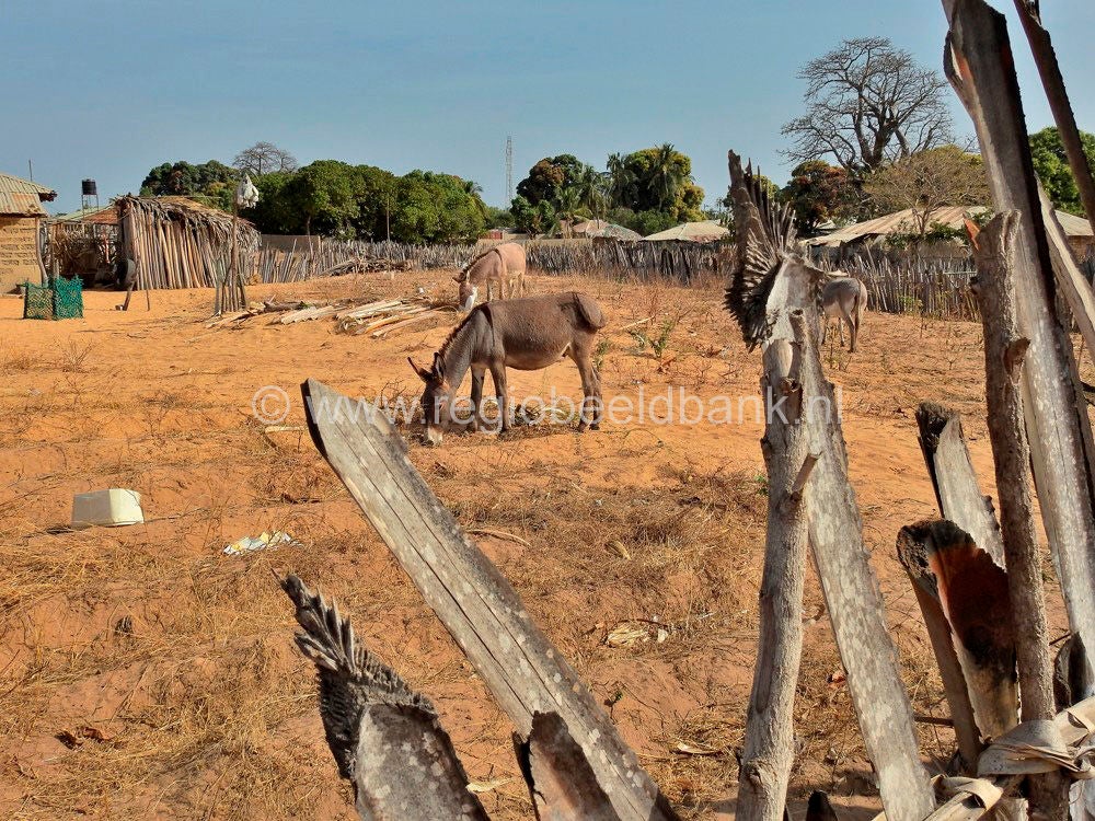 Kartong_0571.jpg