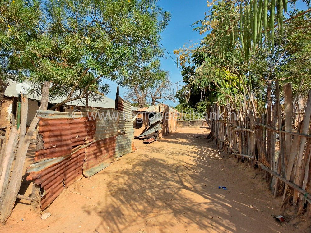 Kartong_0573.jpg