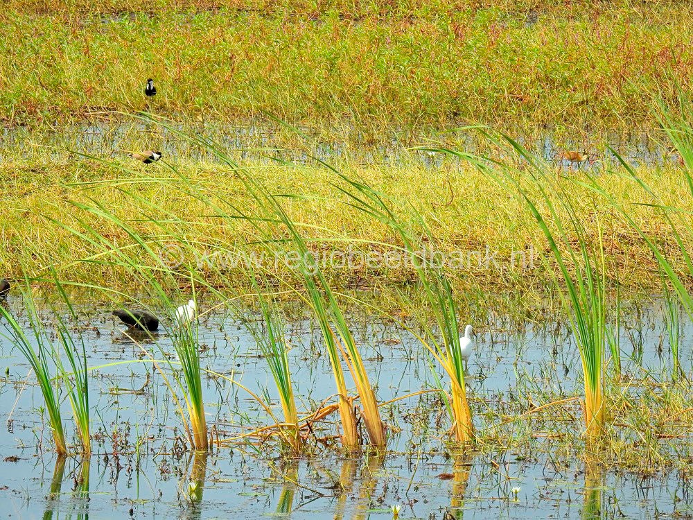 Kartong_Landscape_0643.jpg