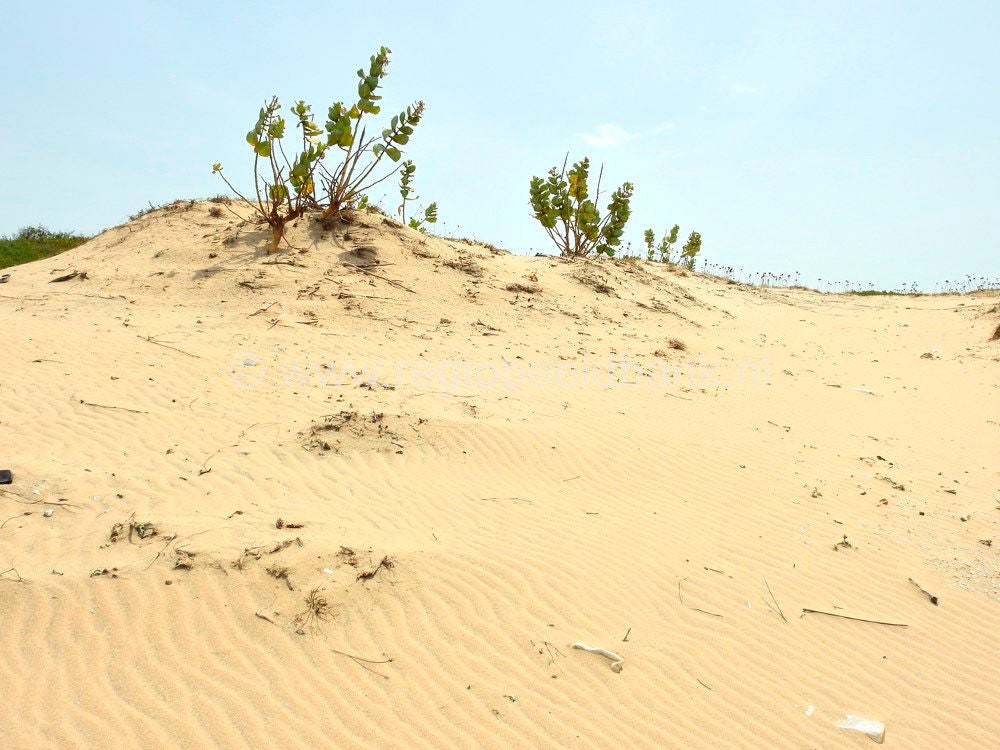 Kartong_Landscape_0646.jpg