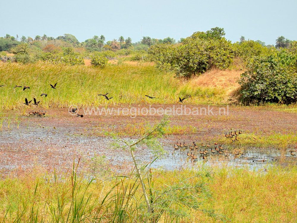 Kartong_Landscape_0653.jpg