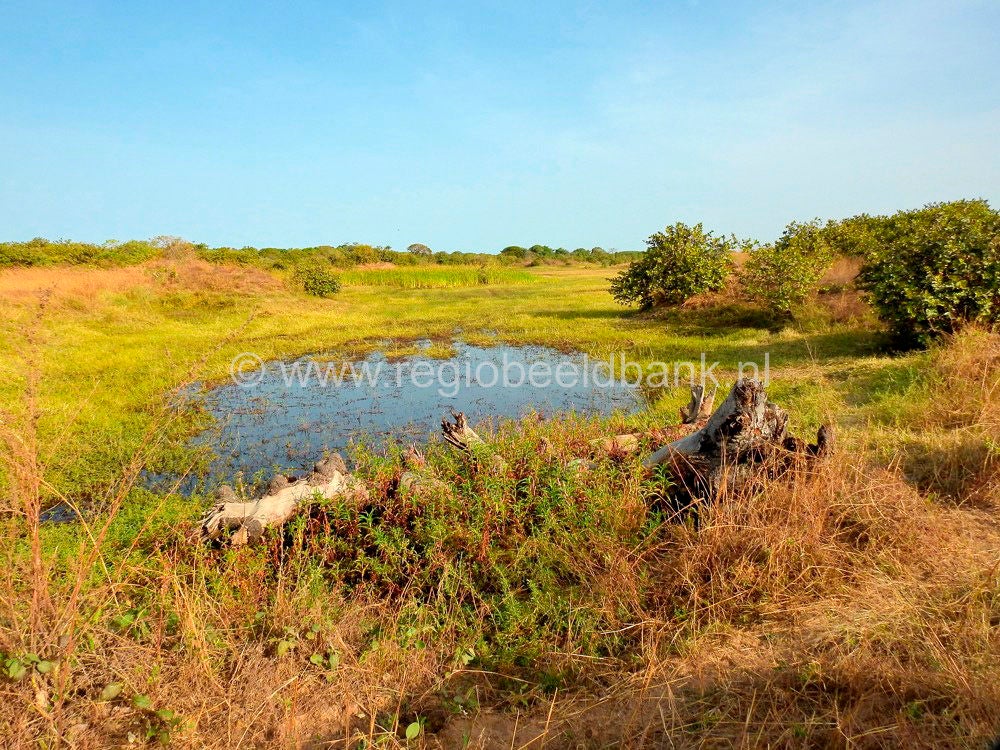 Kartong_Landscape_0668.jpg