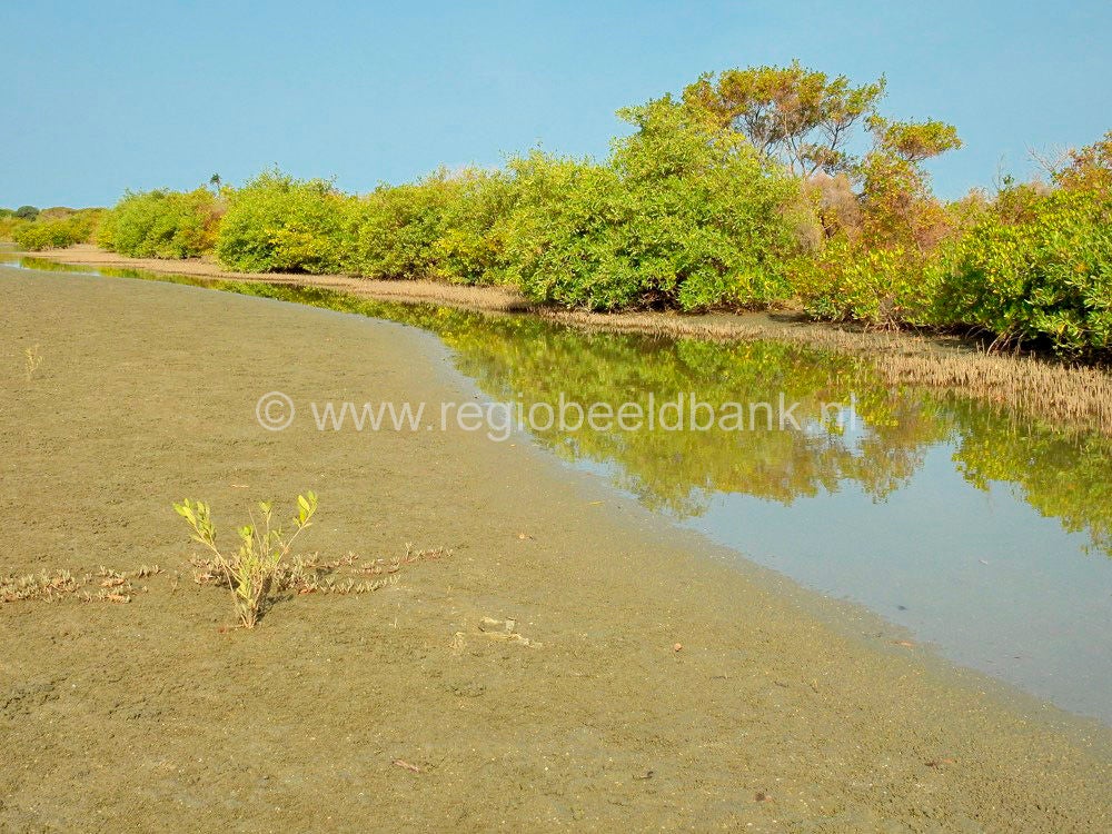 Kartong_Landscape_0679.jpg