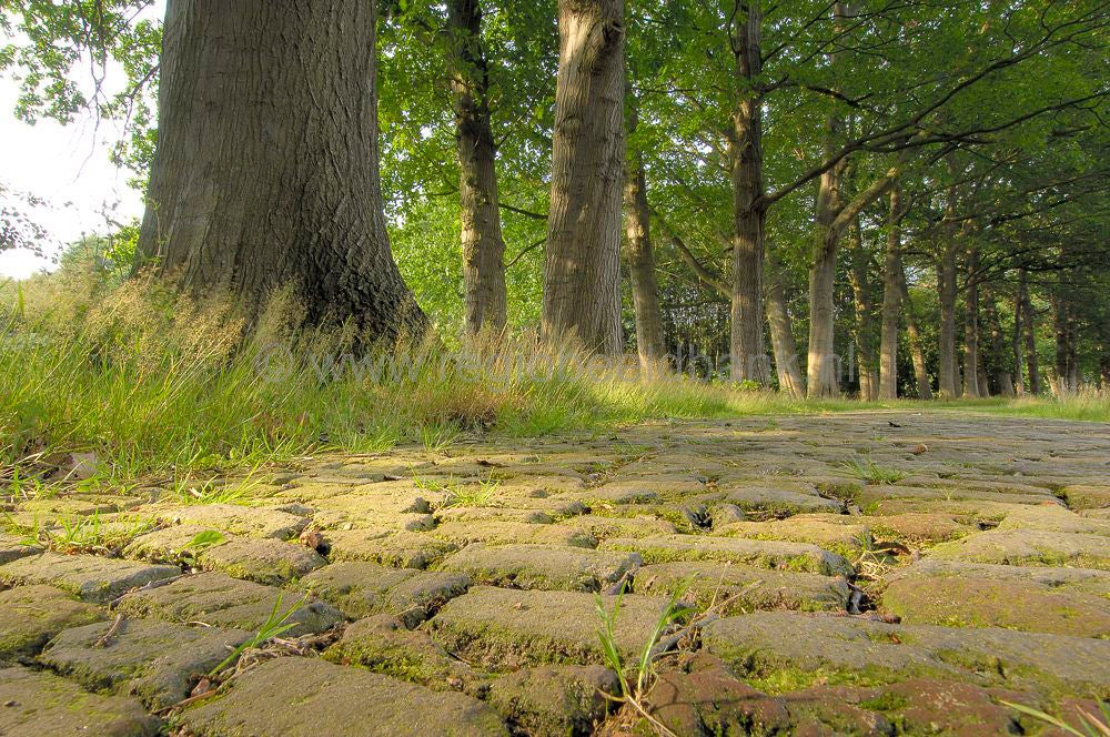 Kasteel_Oldenaller_009.jpg