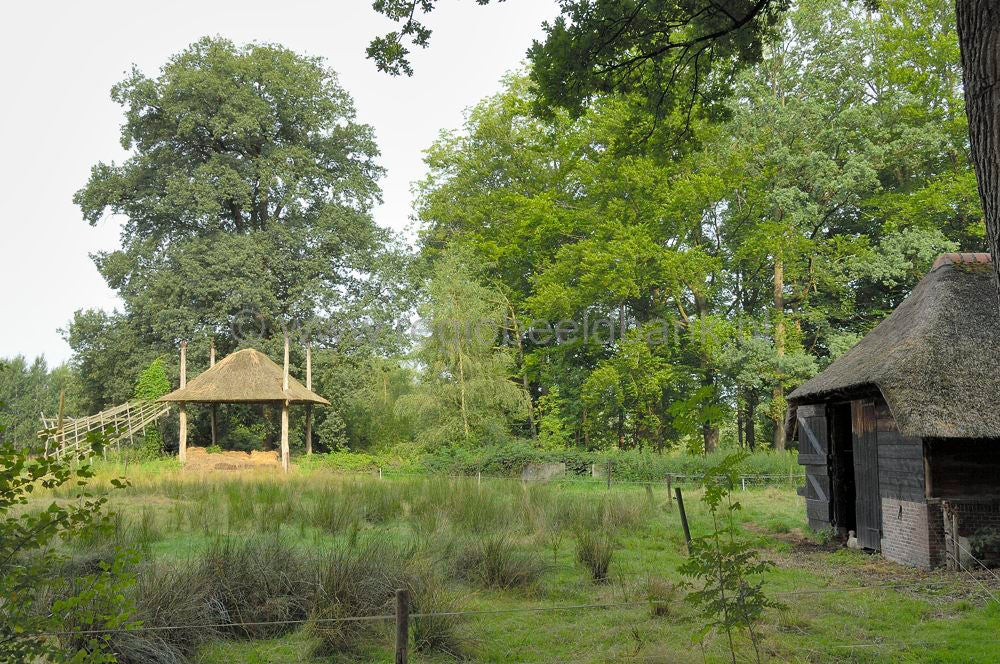 Kasteel_Oldenaller_028.jpg