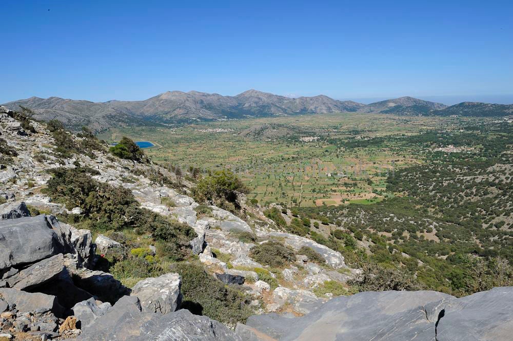 Katharo_524.jpg