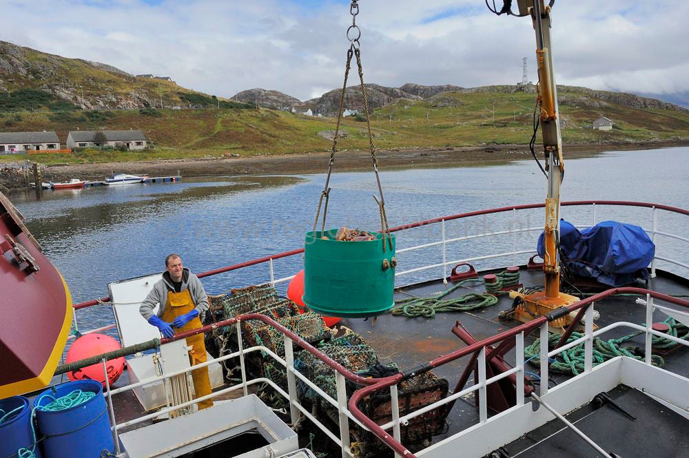Kinlochbervie Fish