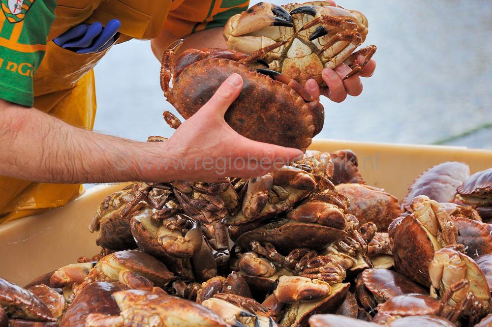 Kinlochbervie_fish_selling_015.jpg