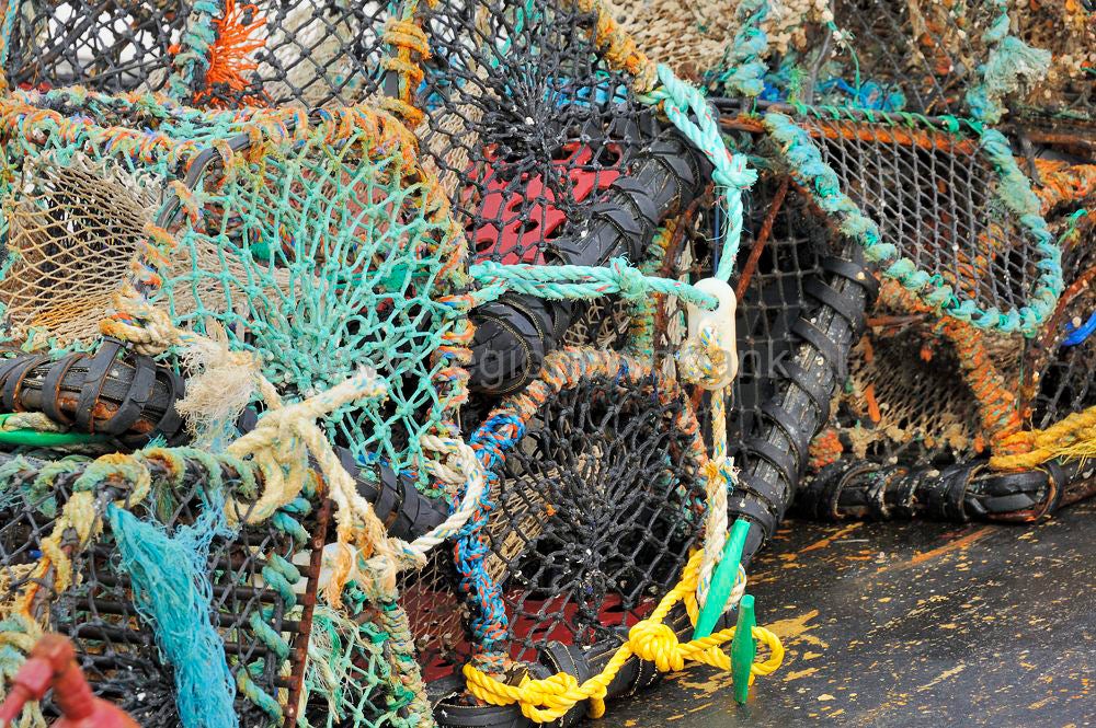 Kinlochbervie_fish_selling_019.jpg