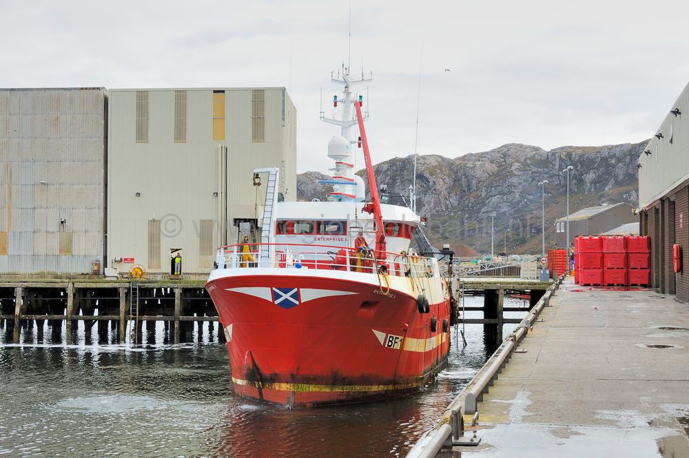 Kinlochbervie_fish_selling_026.jpg