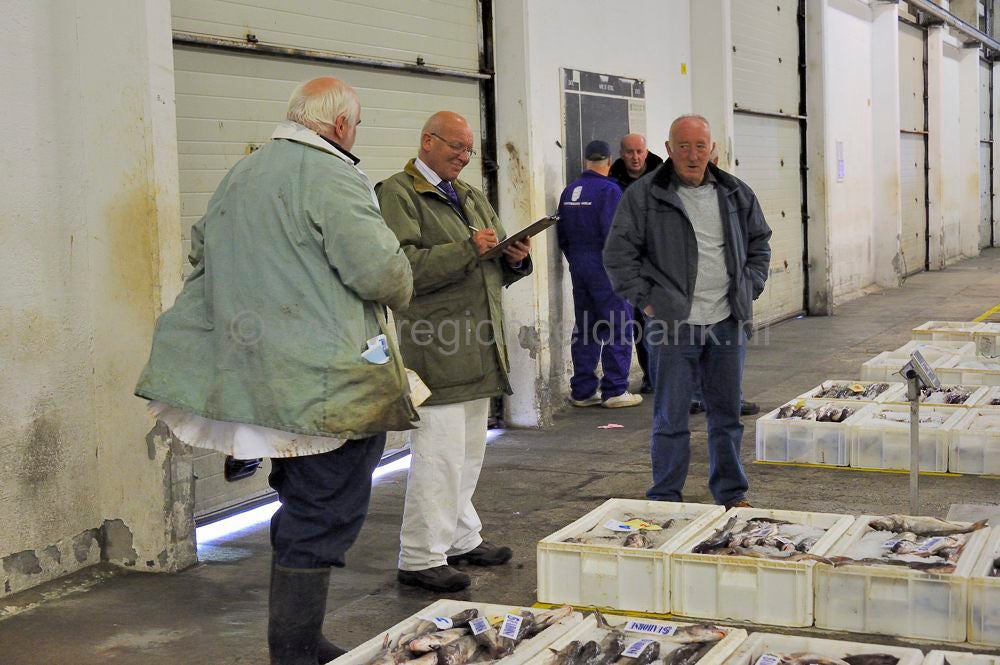 Kinlochbervie_fish_selling_059.jpg