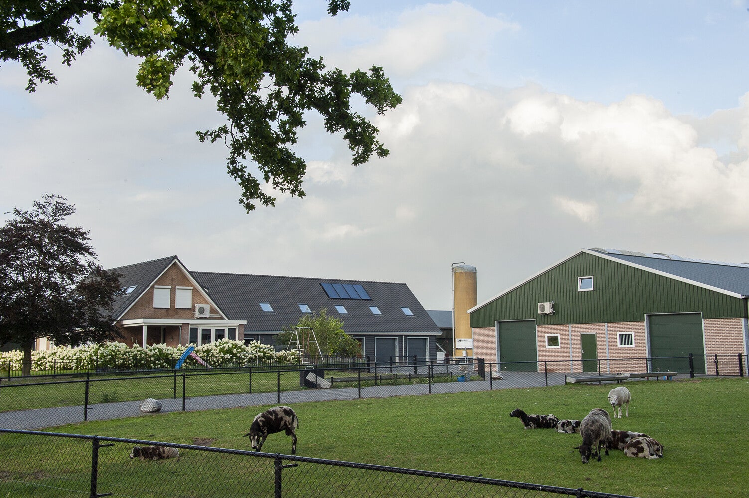 Klein-Gooswilligenweg_2046-1.jpg