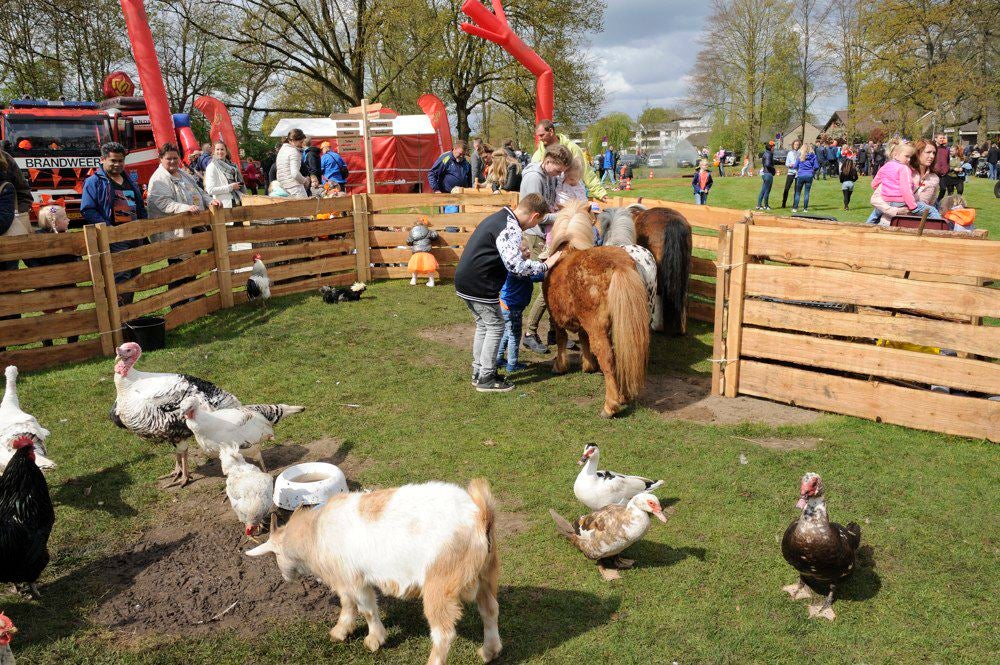 Koningsdag_2017_005.jpg