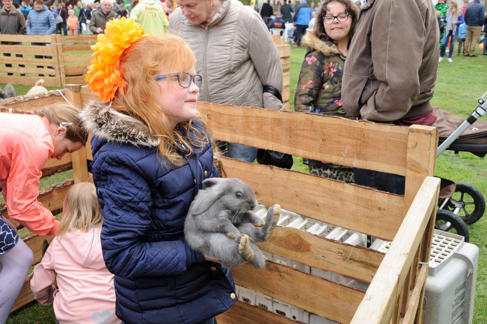 Koningsdag_2017_041.jpg