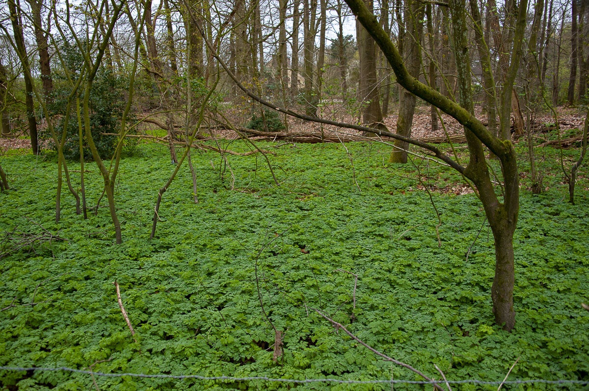 Kopermolenpad_023-3.jpg