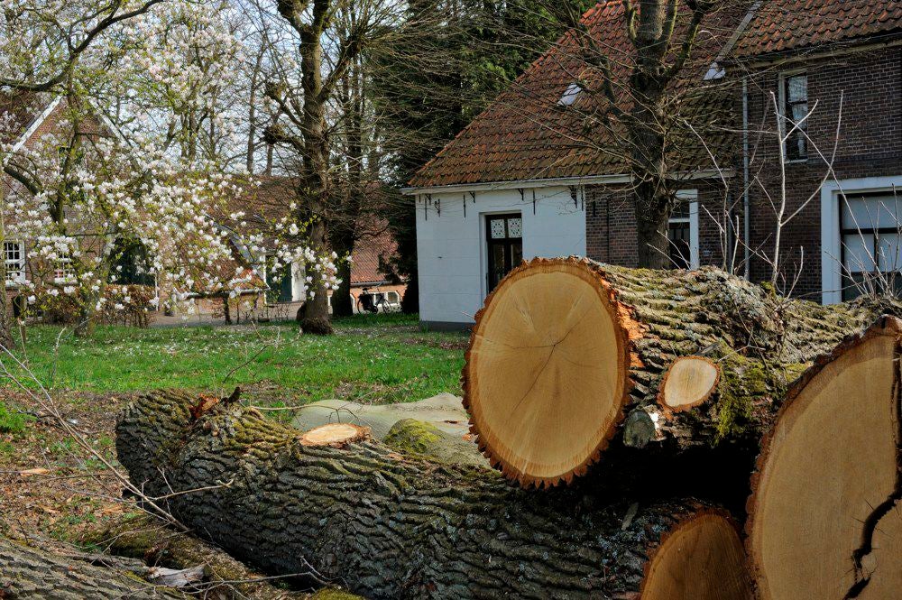 Kopermolenpad_027-2.jpg