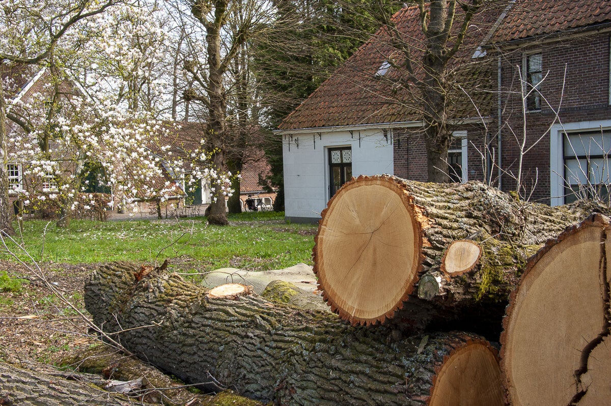Kopermolenpad_027-3.jpg